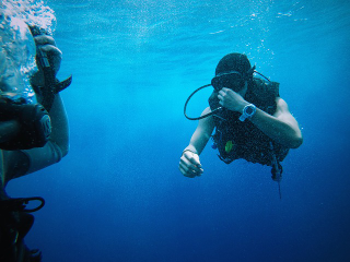 Illustration for article titled Trying to find the Snorkeling Trainer? You should definitely To Understand Variables Before Making a conclusion